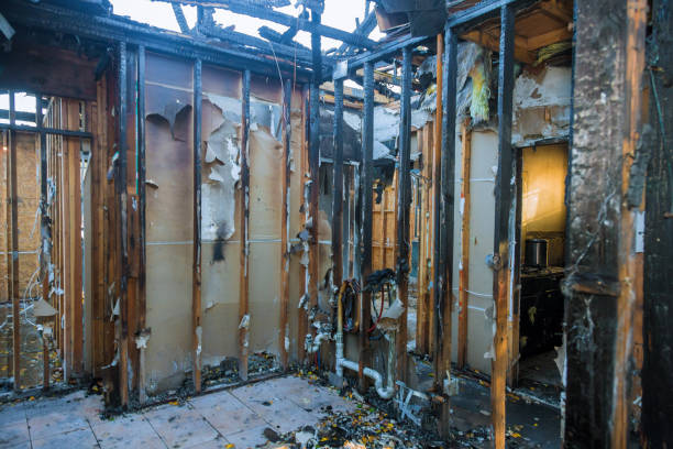 Professional Smoke Damage Removal technician working in Oak Leaf, TX